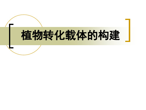 第六章_植物转化载体的构建