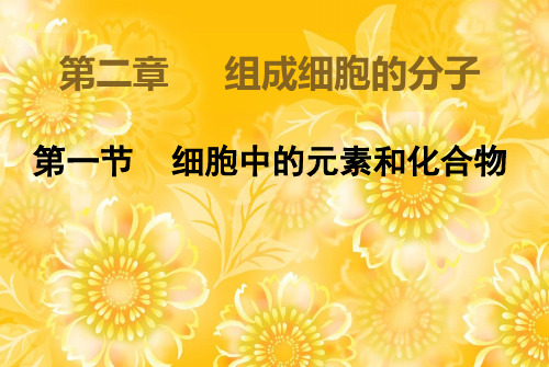 人教版必修1第二章第一节细胞中的元素和化合物(共13张PPT)