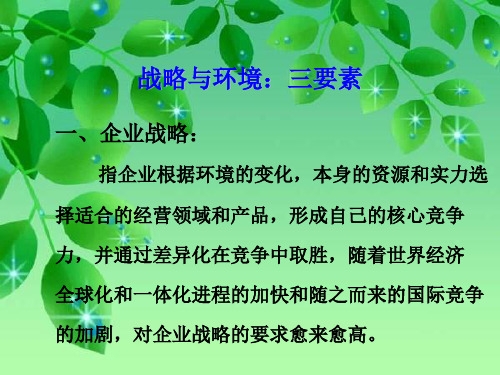 战略与环境
