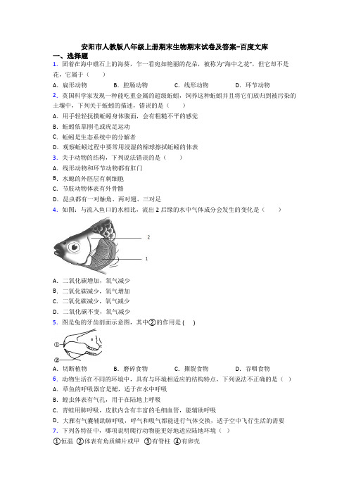 安阳市人教版八年级上册期末生物期末试卷及答案-百度文库