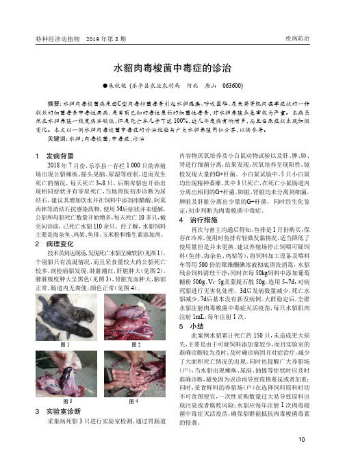 水貂肉毒梭菌中毒症的诊治