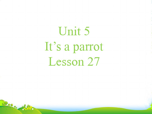 新人教精通版三年级英语下册 Unit 5 It%27s a parrot Lesson 27 课件2