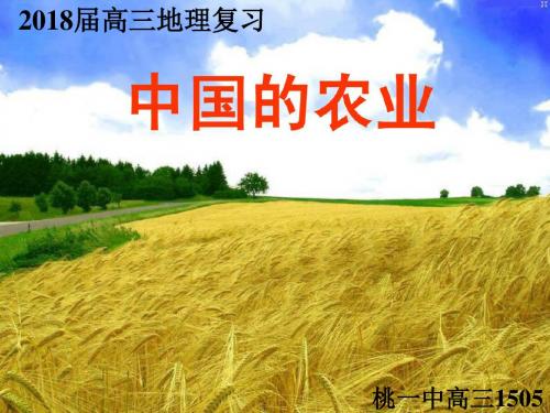 高三一轮复习精品课件之中国的农业(桃源一中)