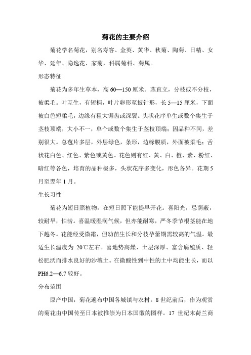 菊花的主要介绍