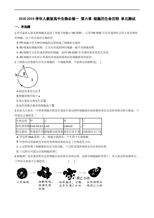 人教版高中生物必修一 第六章 细胞的生命历程 单元测试含解析