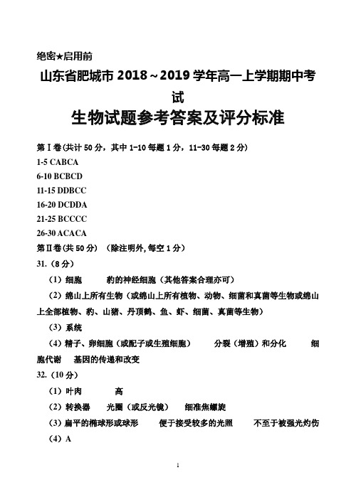 2018～2019学年山东省肥城市高一上学期期中考试生物答案