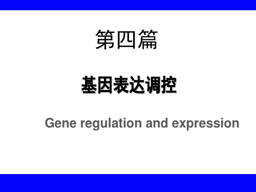 《生物化学》教学课件：基因表达调控2014TXW0603A