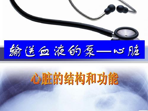 心脏结构和功能
