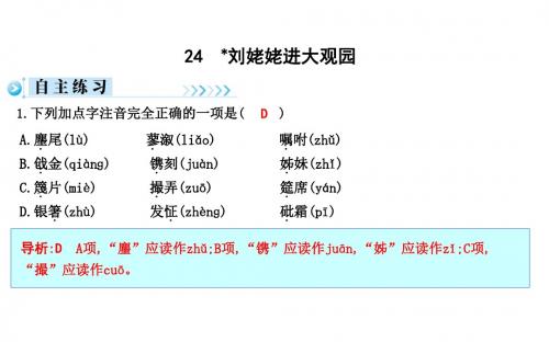 2019秋人教部编版九年级语文上册习题课件：24 刘姥姥进大观园 (共12张PPT)