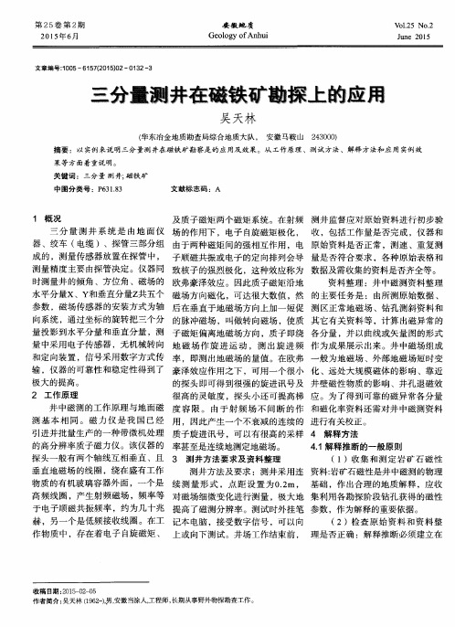 三分量测井在磁铁矿勘探上的应用