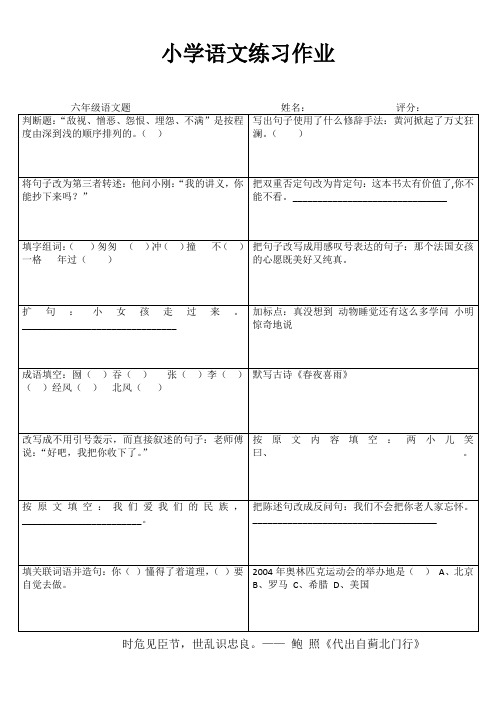 小学语文精作细练习题I (1)