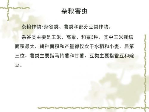 杂粮害虫