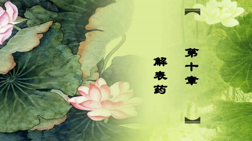 10章解表药-辛凉解表