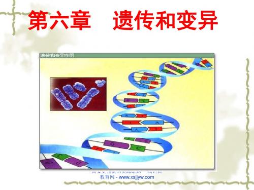 遗传的物质基础