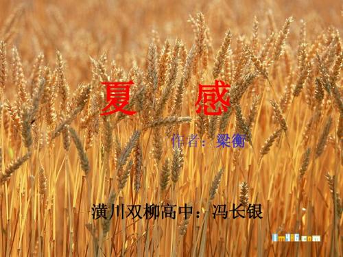 《夏感》PPT
