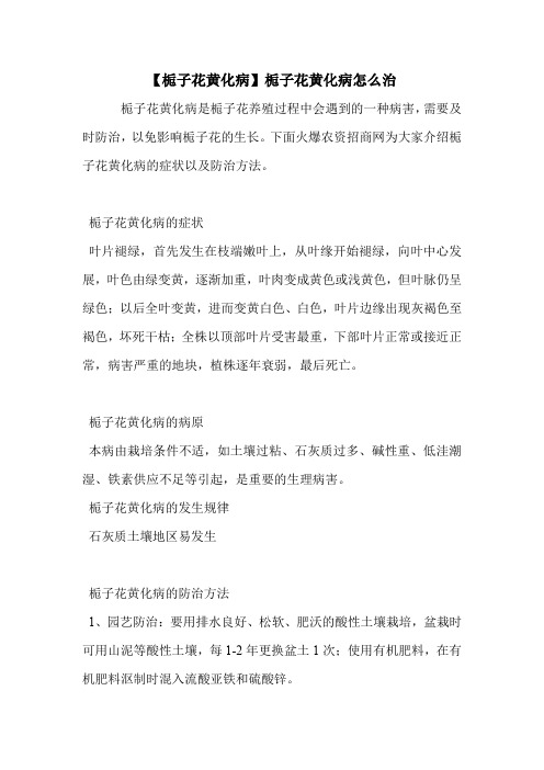【栀子花黄化病】栀子花黄化病怎么治.doc