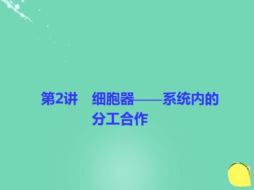 2017高考生物一轮复习-第2单元-细胞的结构、物质的输入与输出-第2讲-细胞器-系统内的分工合作课件