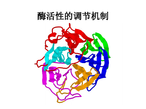 酶活性的调节