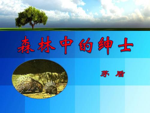 《森林中的绅士》PPT课件4