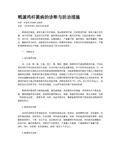 鸭源鸡杆菌病的诊断与防治措施