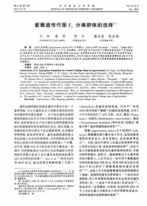 紫薇遗传作图F1分离群体的选择