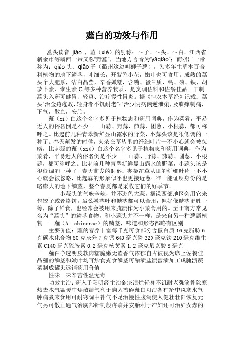 薤白的功效与作用
