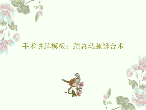 手术讲解模板：颈总动脉缝合术24页PPT
