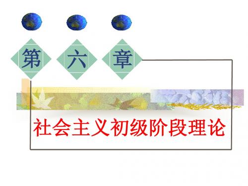 第六章：社会主义初级阶段理论