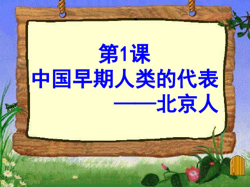 七年级历史上册 第1课 中国早期人类的代表—北京人课件 新人教版.pptx