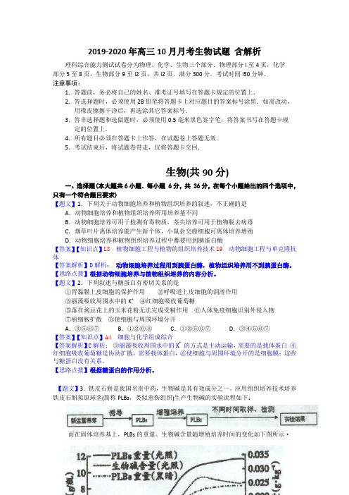 2019-2020年高三10月月考生物试题 含解析