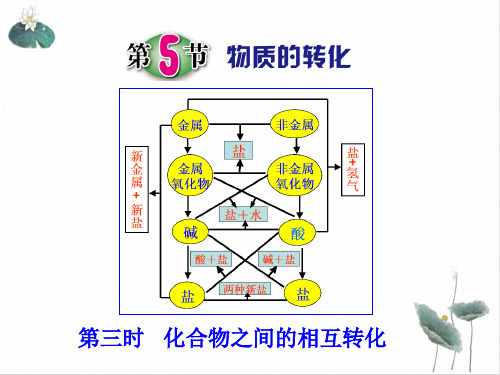九年级上科学_物质的转化_ppt精美课件浙教版3