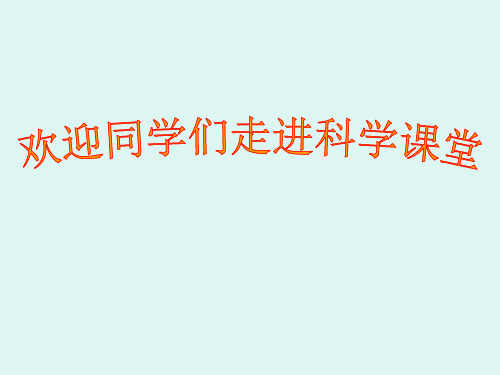 小学科学《身体的结构》PPT课件