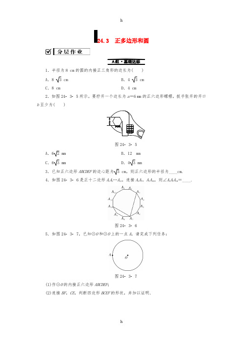 2018-2019学年九年级数学上册 第24章 圆 24.3 正多边形和圆测试题 (新版)新人教版