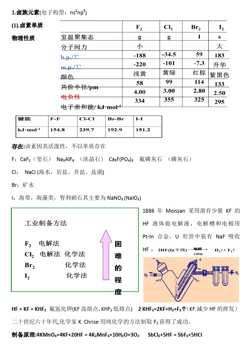 sp区主族元素
