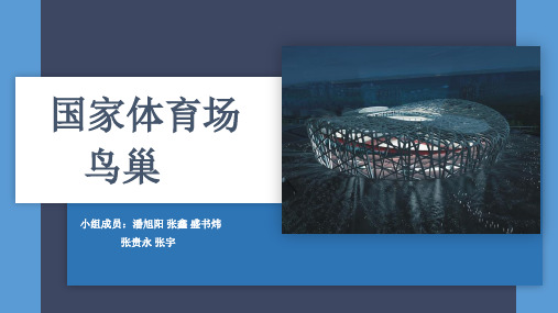 鸟巢结构介绍