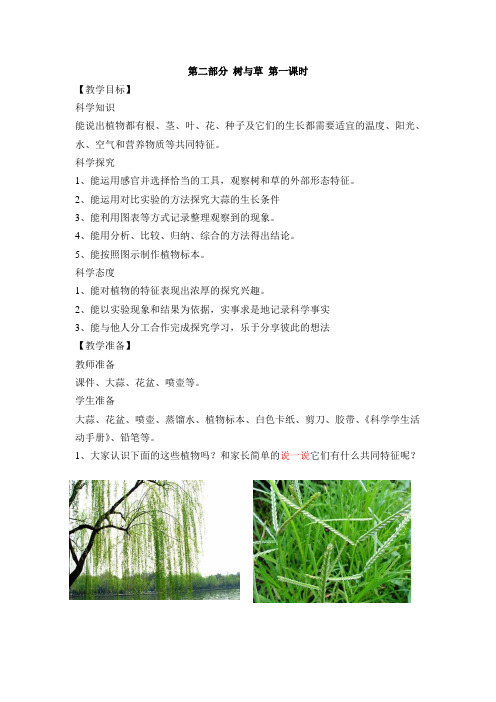 冀人版小学科学三年级下册2《树与草》教案