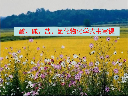 酸碱盐氧化物化学式书写课