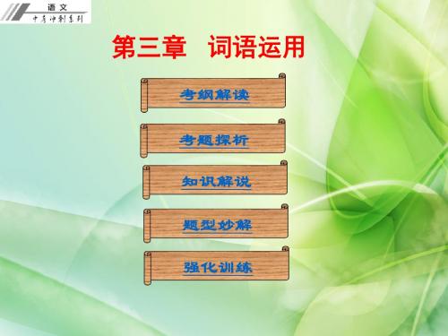 广东省2018年语文中考冲刺复习课件：第一部分 第三章   词语运用(共47张PPT)