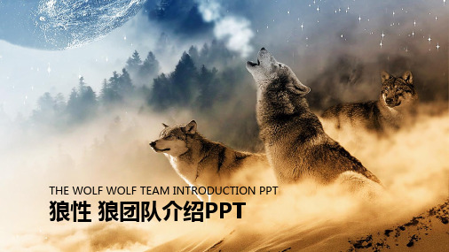 狼群背景的狼性团队文化PPT模板