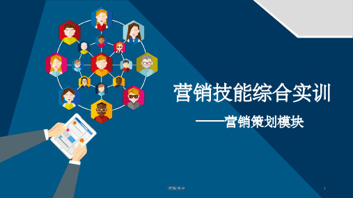 营销策划技能综合实训选择目标市场