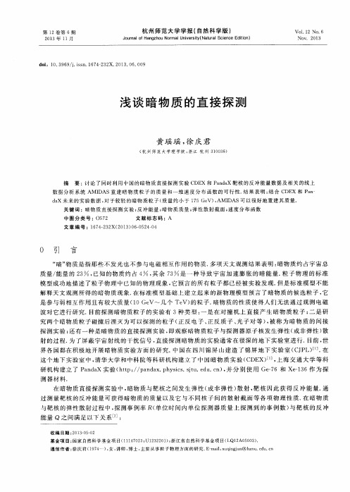 浅谈暗物质的直接探测