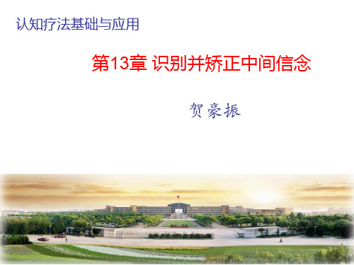 13认知疗法基础与应用-识别并矫正中间信念(PPT文档)