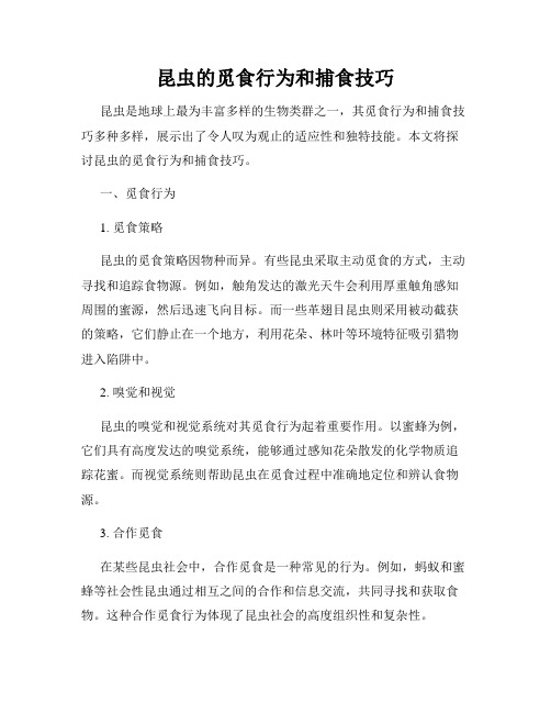 昆虫的觅食行为和捕食技巧