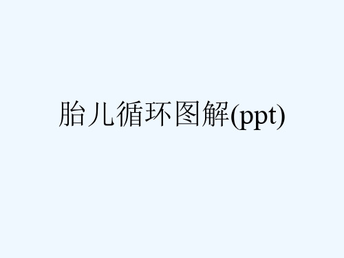 胎儿循环图解(ppt)