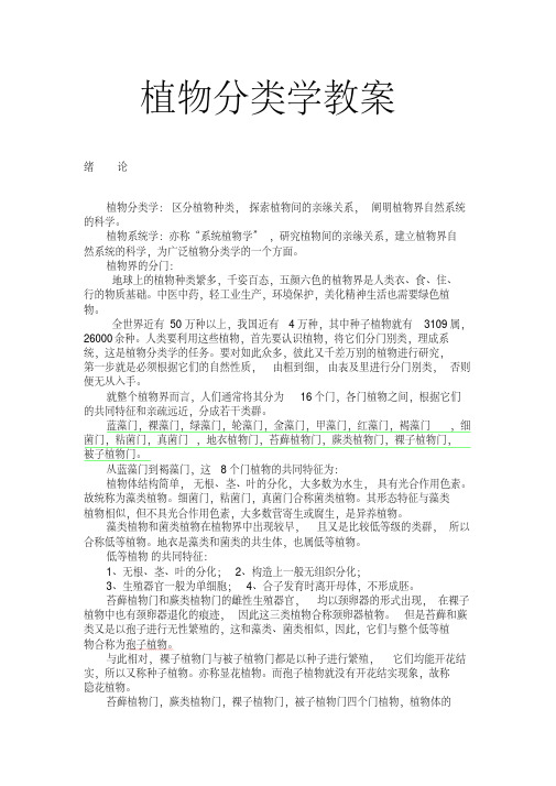 植物分类学教案