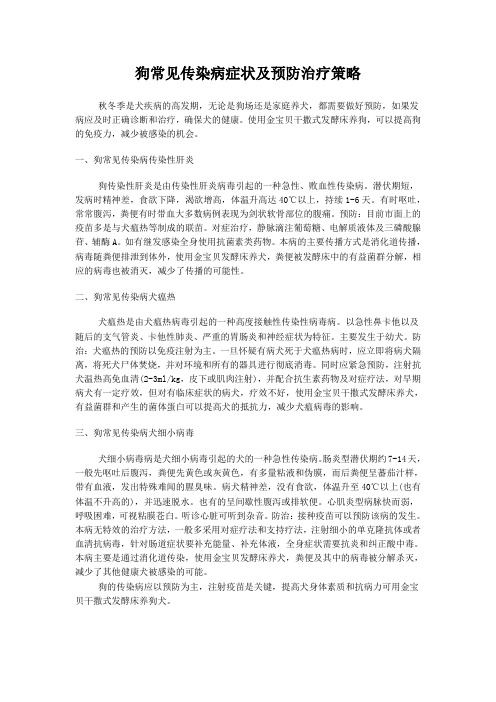 狗常见传染病症状及预防治疗策略