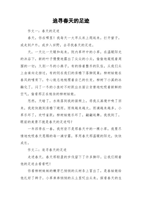 追寻春天的足迹_作文