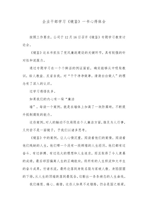 企业干部学习《镜鉴》一书心得体会.doc