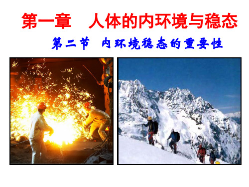 高二上学期生物必修三 1.2内环境稳态的重要性