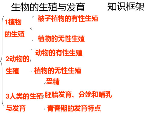 人教版八年级生物下册7.1.3生物的生殖与发育 (共38张PPT)